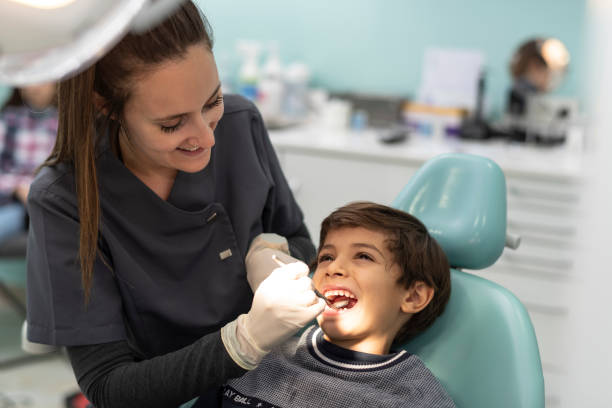 Best Emergency Dental Services for Seniors in Bottineau, ND